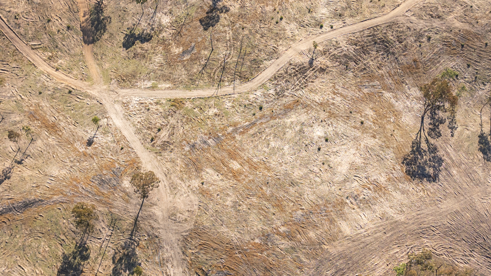 Bulldozed land at Red Range, NSW