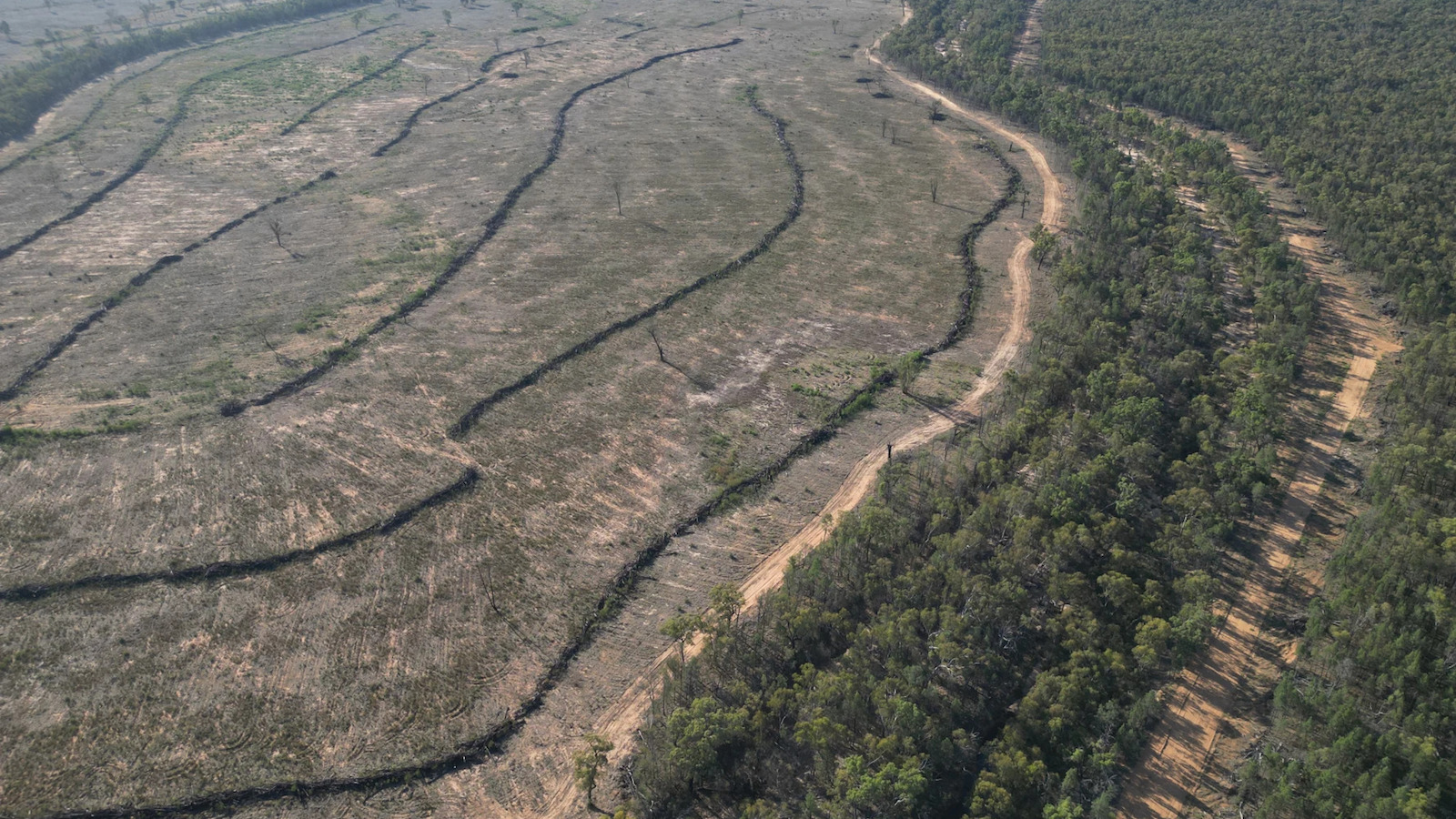 NSW Parliamentary Friends of Forest Guest Speaker Event