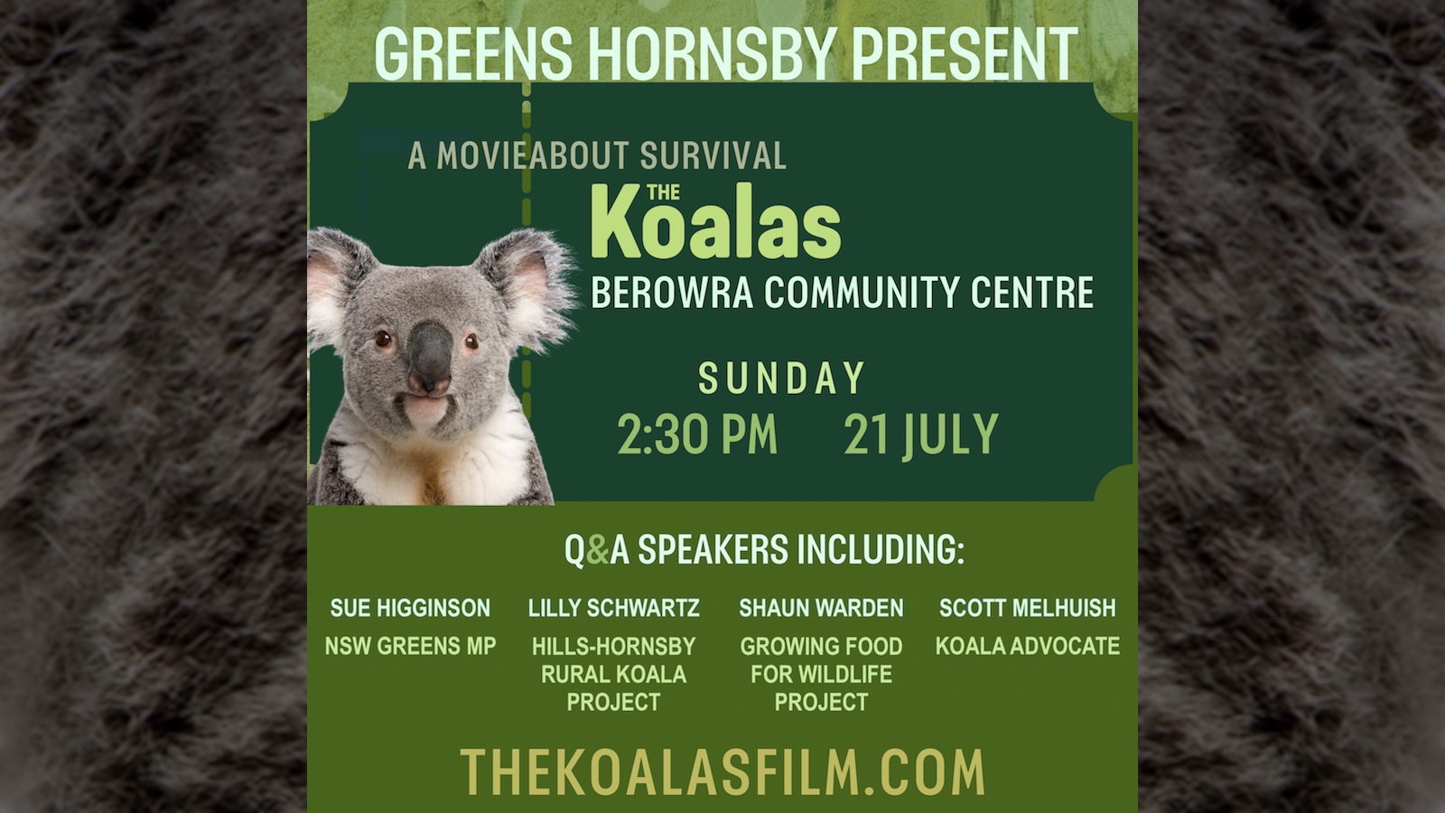 The Koalas Film - Hornsby Greens